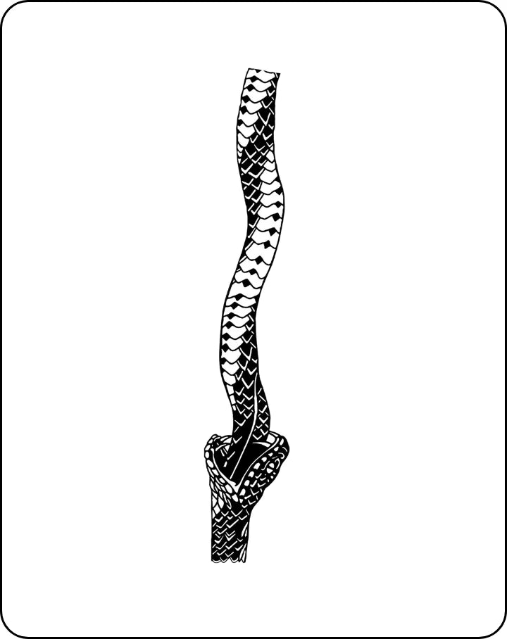 Endless Snake
